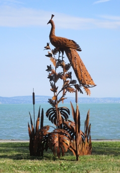 Huge peacock garden sculpture