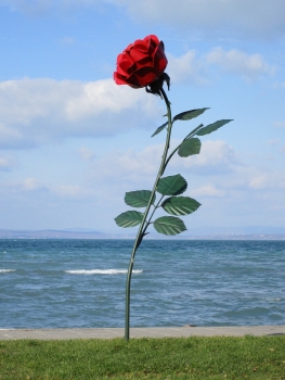 XL Gartenrose Edelstahl lackiert