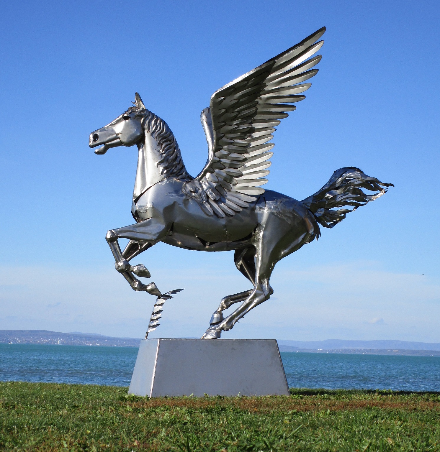 size pegasus