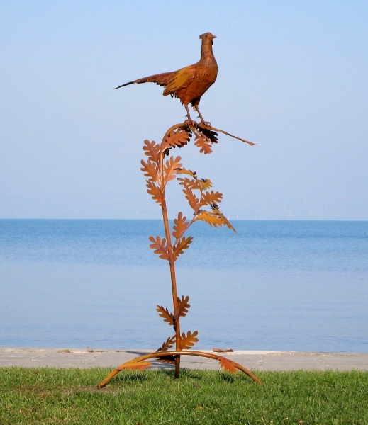 Pheasant on tree