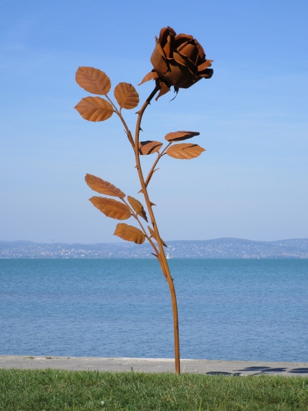 Garden rose artwork rusty steel