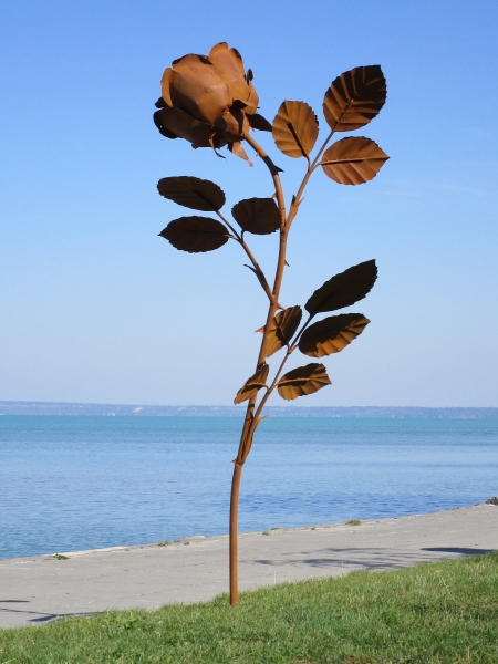 Huge Garden Rose artwork made in rusty iron. H 250 cm.