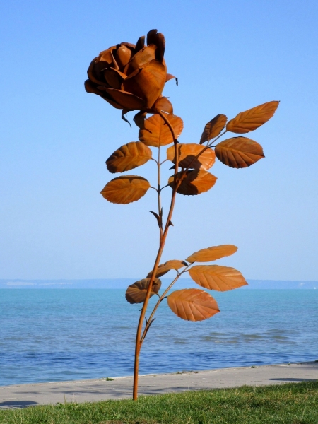 Park artwork rose iron